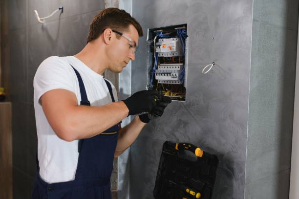 Best Ceiling Fan Installation Electrician  in Grand Ledge, MI