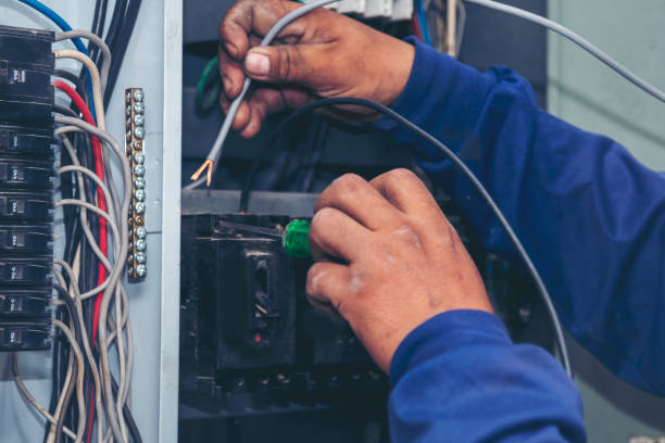Best Affordable Emergency Electrician  in Grand Ledge, MI