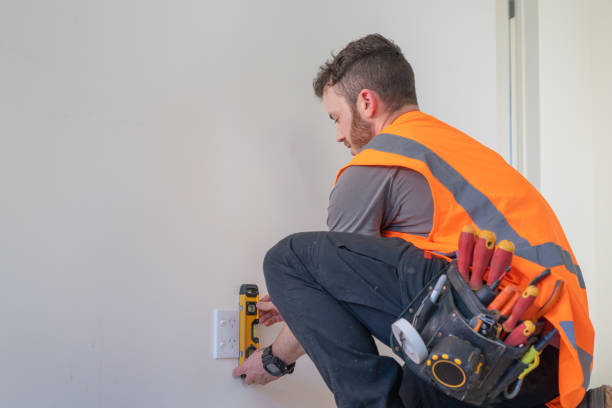 Best Electrician for Home Renovation  in Grand Ledge, MI