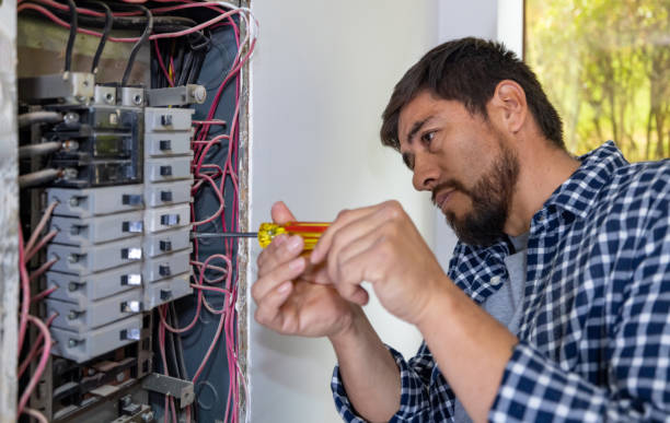 Best Electrical Troubleshooting Services  in Grand Ledge, MI